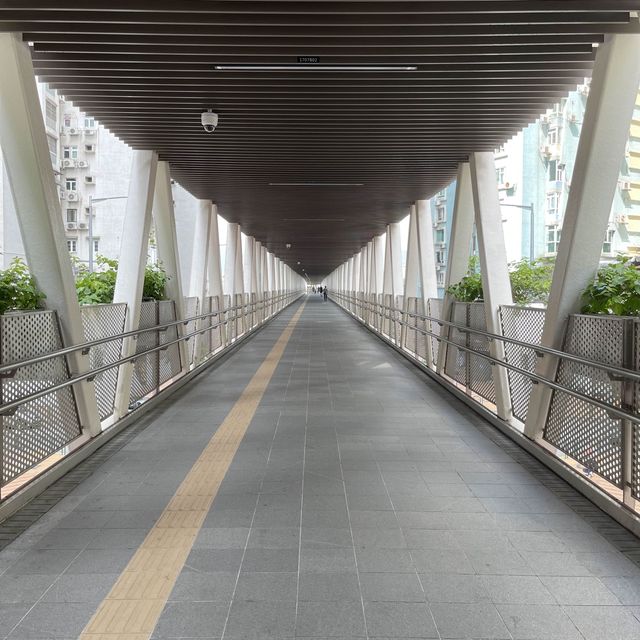 TAIPA PEDESTRIAN OVERPASS MTR BRIDGE