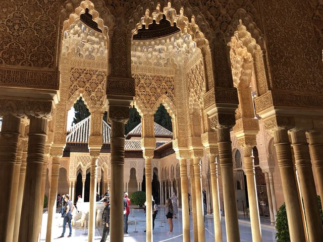 Alhambra @Granada🐴