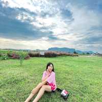 Hello ภูผาม่านนนนสวยที่สู๊ดดดดด🌳🏞️