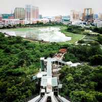 在斜行式升降機裡俯瞰氹仔美景