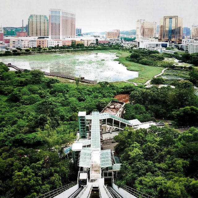 在斜行式升降機裡俯瞰氹仔美景 在斜行式升降機裡俯瞰氹仔美景