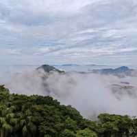 雨中行山 山頂花園