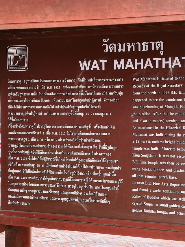 📸 รีวิว : วัดมหาธาตุ #อยุธยา 🙏