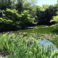 白鳥庭園