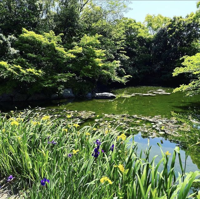 白鳥庭園