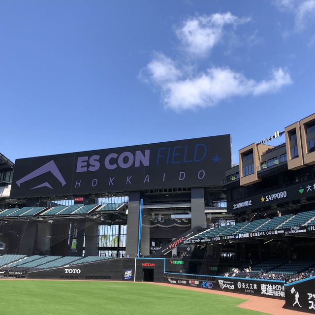 ⚾️エスコンフィールド⚾️