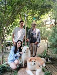 Mori Natural Farm โมริ เนเชอรัลฟาร์ม เชียงใหม่🌳☁️
