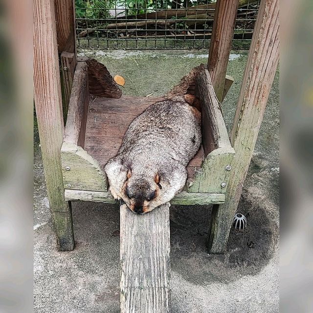 台灣新竹親子同遊好地方😍