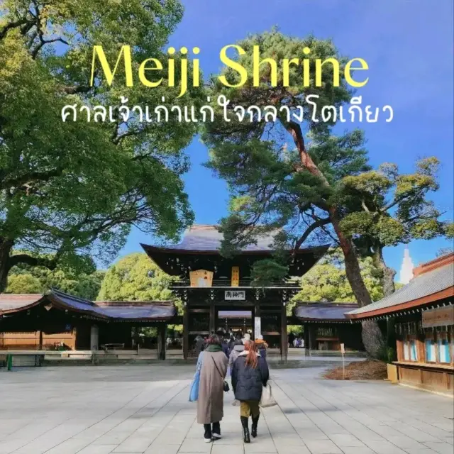 Meiji Shrine ศาลเจ้าชินโตเก่าแก่ ใจกลางโตเกียว 