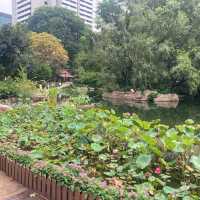 鬧市中的綠色花園｜香港公園