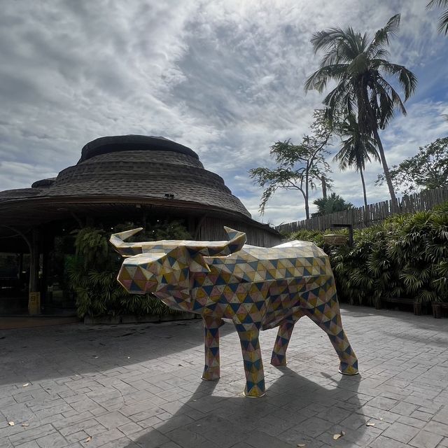 The Buffalo Amphawa