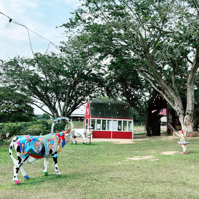 Enjoy The Visit To This Cattle Farm 🐄