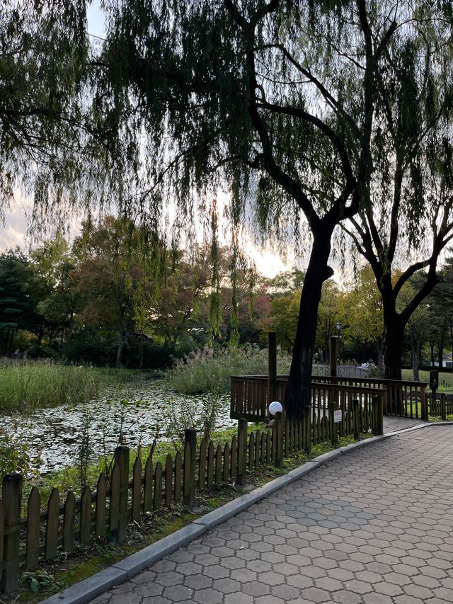 서울 대표 러닝 스팟, 여의도공원 ✨