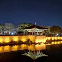 Gorgeous night in Gyeongju