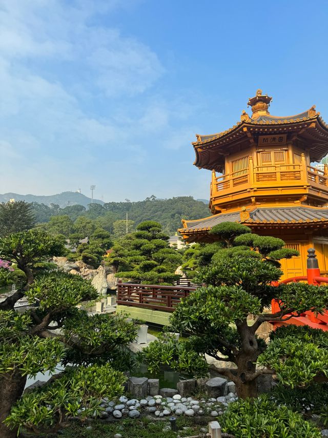 一人之境🙌🏻在鑽石山遊京都金閣寺😁
