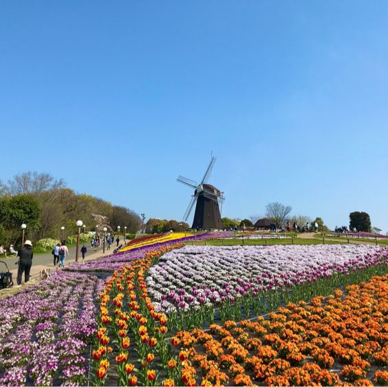 大阪にあるオランダのような風景の公園【花博記念公園 鶴見緑地】