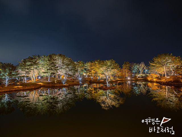 경주 야경 명소 동궁과 월지에서 멋진반영 모습! 경주 야경 명소 동궁과 월지에서 멋진반영 모습!