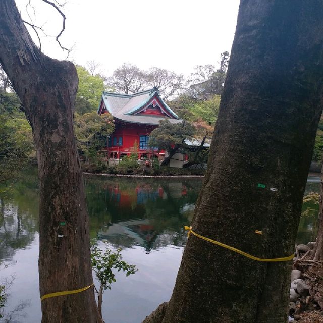 井之頭恩賜公園賞櫻參拜遊湖🌸🚣‍♀️