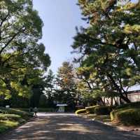 Experience Traditional Culture in Tokyo