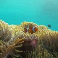 Koh Lipe’s beauty