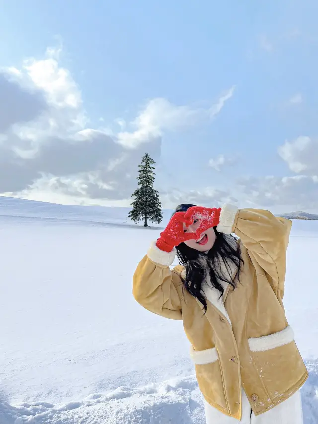 비에이 여행의 이유, 크리스마스 트리🎄