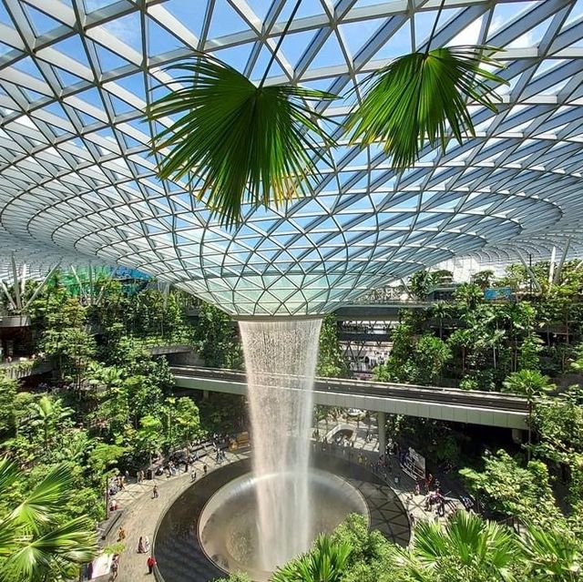 新加坡🇸🇬最新最潮景新景點🫶🏻機場為去😗離境前最後一擊