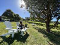 墨爾本酒莊野餐啦Waratah Hills Vineyard～😍不一樣的體驗😙酒莊，logo設計靈感來自於原住民