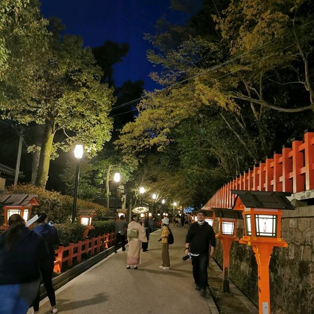 Famous weeping sakura trees