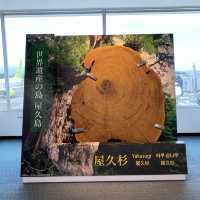 鹿児島空港の魅力