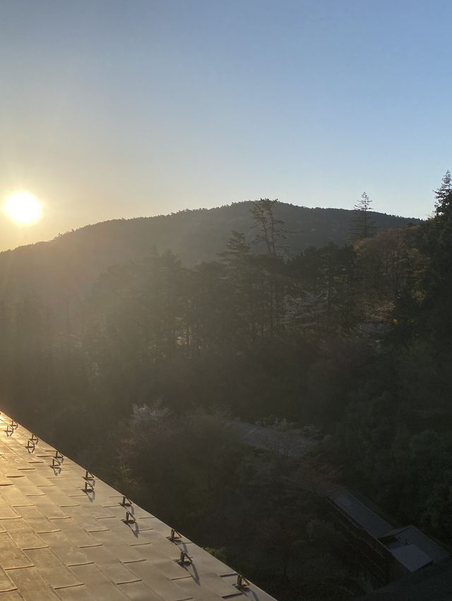 箱根溫泉酒店