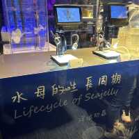 【 探索水母變化萬千的世界 】 