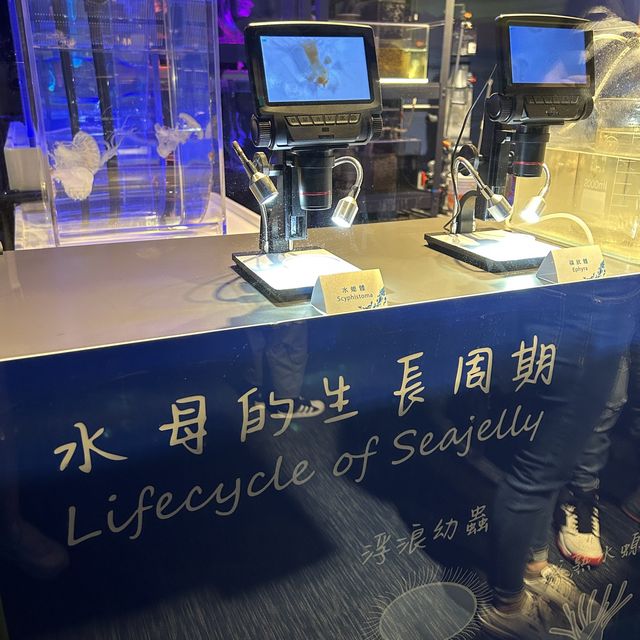 【 探索水母變化萬千的世界 】 