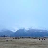 God’s own country- New Zealand 