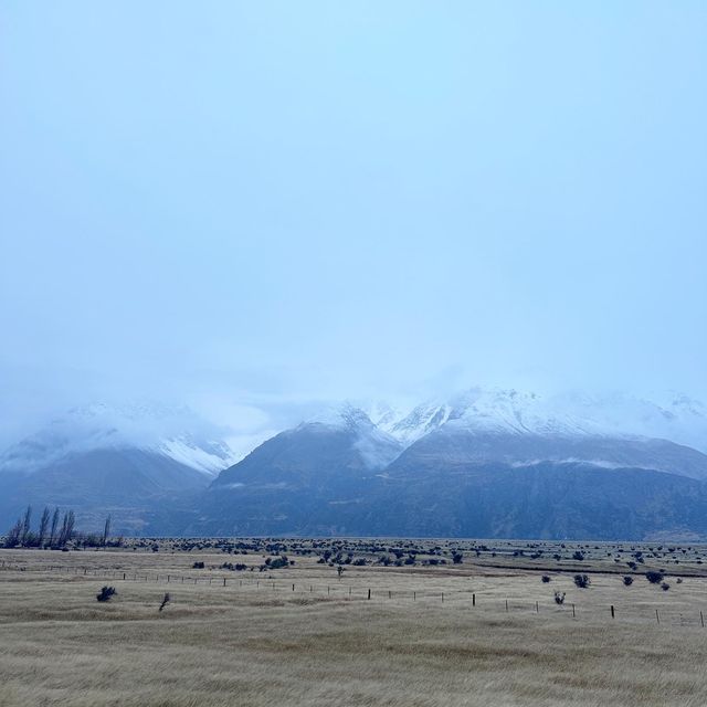 God’s own country- New Zealand 