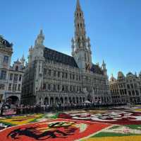 BRUSSELS, BELGIUM🇧🇪 (Flower Carpet)