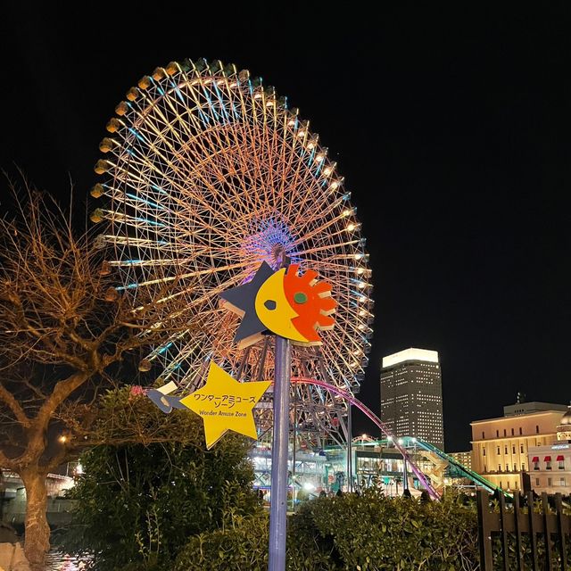 入園無料で夜景が楽しめる遊園地「よこはまコスモワールド」
