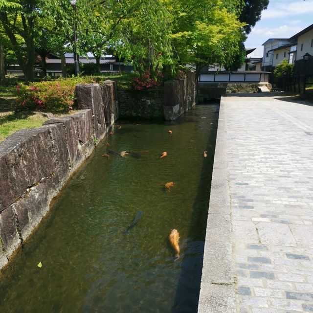 朝聖「你的名字」的飛驒古川