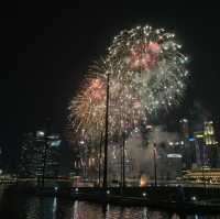 Best view of NDP Firework 🎇 