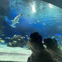 子供連れにはサンシャインシティをおすすめ