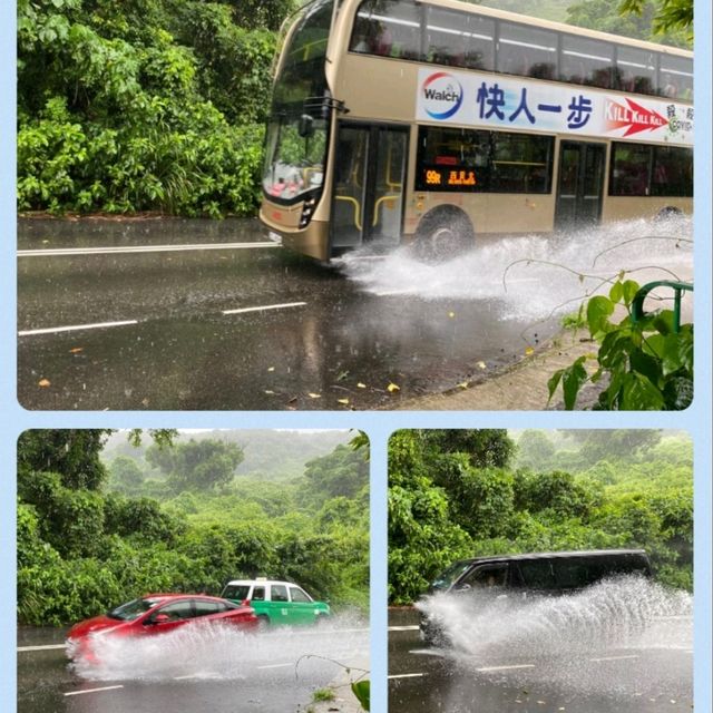雷雨消退後，帶來一段景色優美的行程
