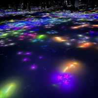 Teamlab Planets Tokyo 視覺藝術很受