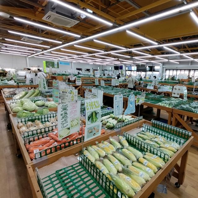 【大阪】道の駅巡り✨しらとりの郷 羽曳野