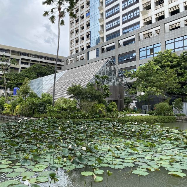 朱拉隆功大學，皇家貴族的搖籃