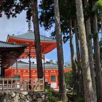 靈巖靜修！⛩️🧘 高野山