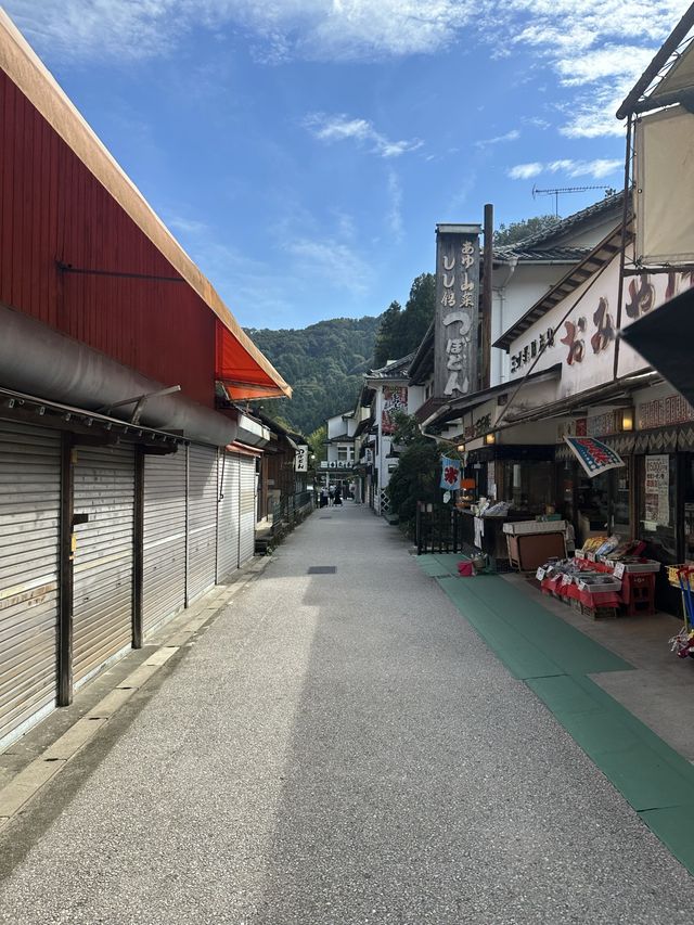 《愛知旅行》 おすすめ観光スポット🚩香嵐渓!