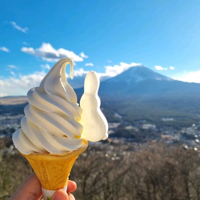 후지산을 제대로 보고싶은 분 주목📷