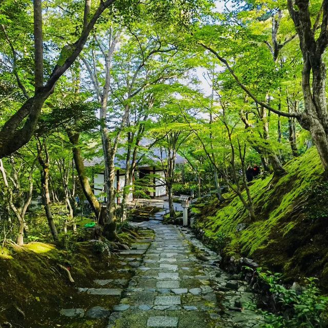 常寂光寺!!尋找內心寧靜的放鬆🌸🏯 