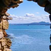 Inchcolm Island🏖️ 鳥語花香海島