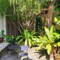 Nature cafe: 2F+ cafe at Relau, Penang