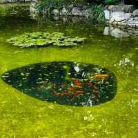 STUNNING PARK IN PLOVDIV!